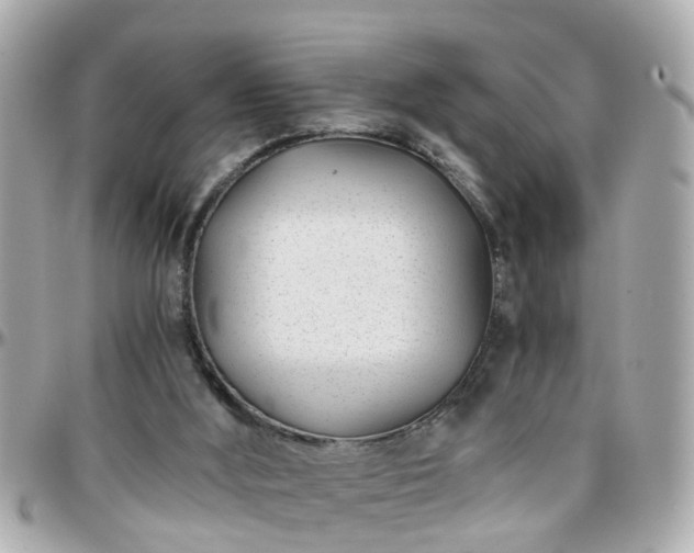 X0000096200012200801251022