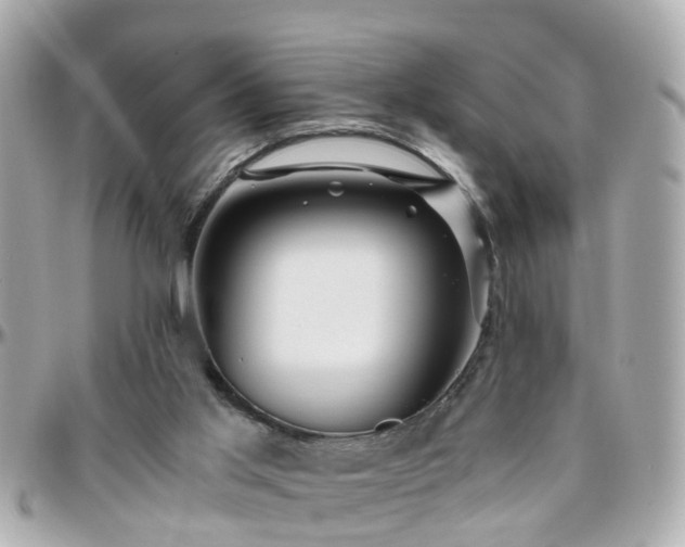 X0000096200013200801251022