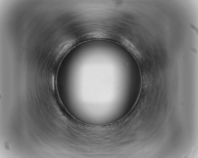 X0000096200014200801251022