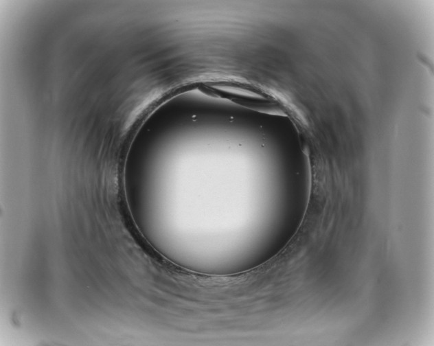 X0000096200015200801251022