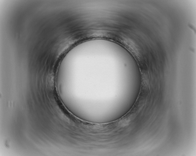 X0000096200016200801251022