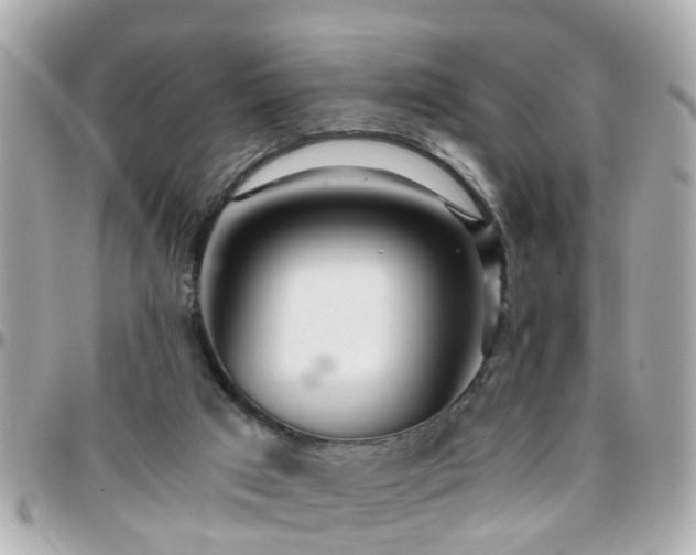 X0000096200017200801251022