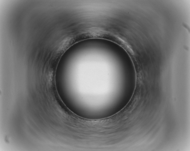 X0000096200018200801251022