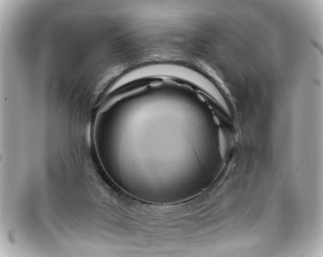 X0000096200019200801251022