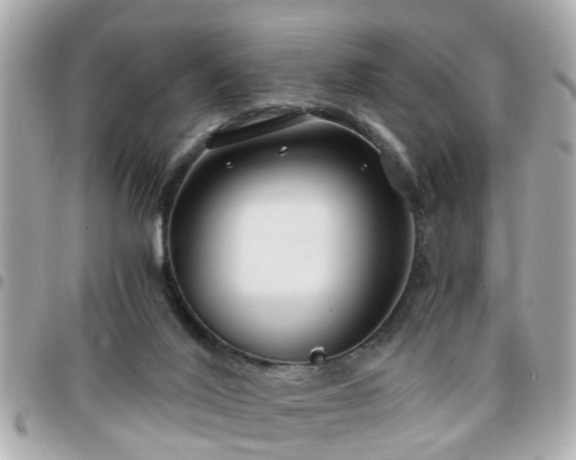 X0000096200020200801251022