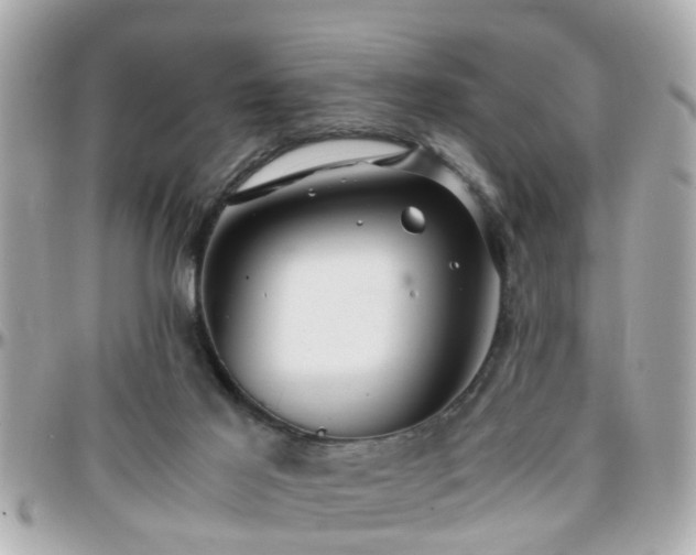 X0000096200021200801251022