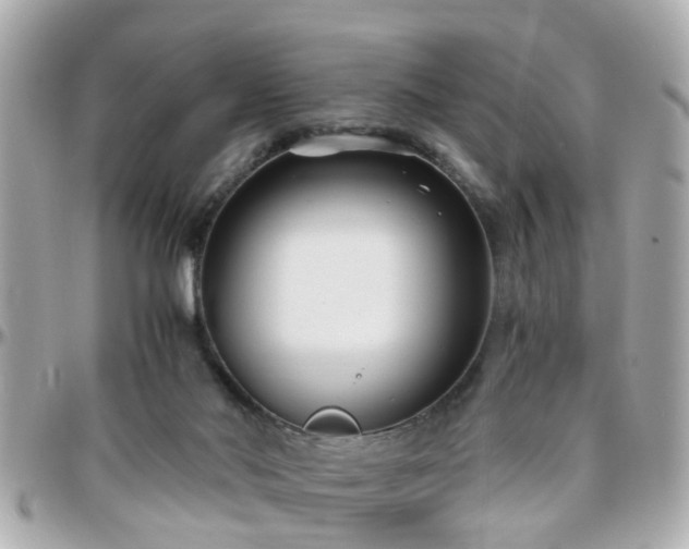 X0000096200022200801251022