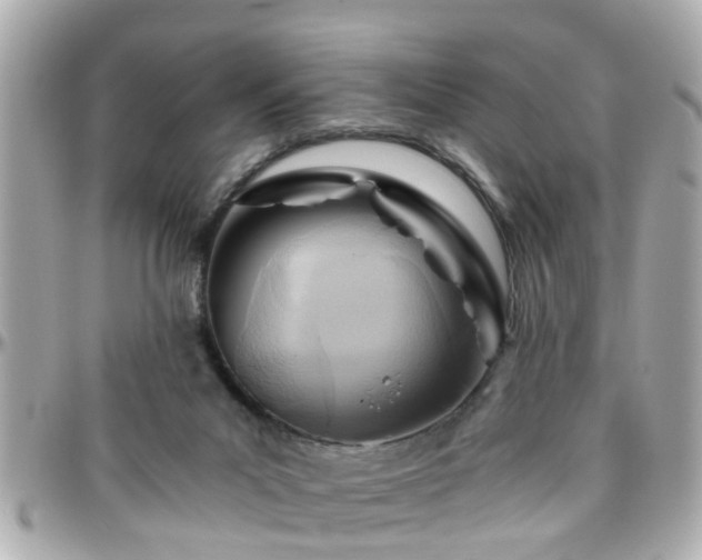 X0000096200023200801251022