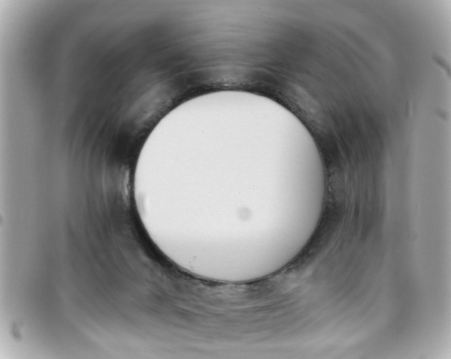 X0000096200024200801251022