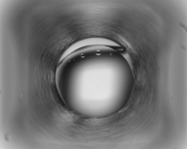 X0000096200025200801251022