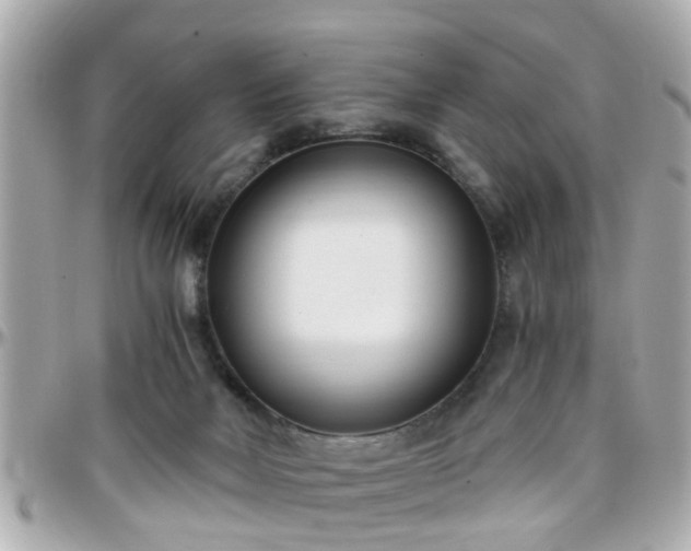 X0000096200026200801251022