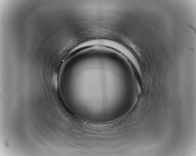 X0000096200027200801251022