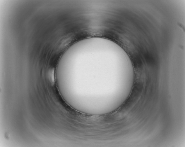 X0000096200028200801251022