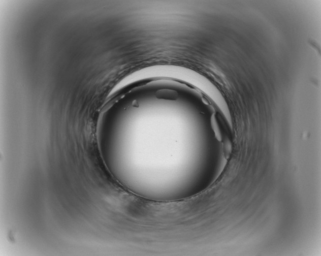 X0000096200029200801251022