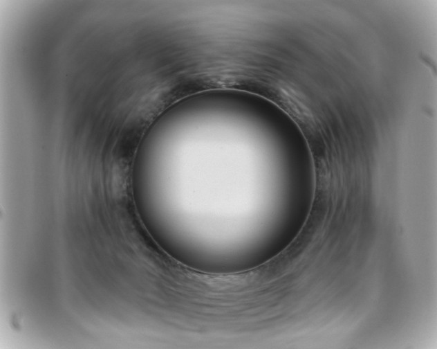 X0000096200030200801251022