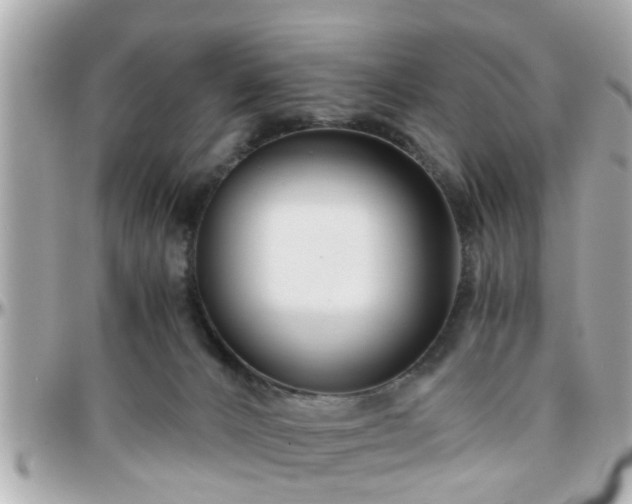 X0000096200032200801251022