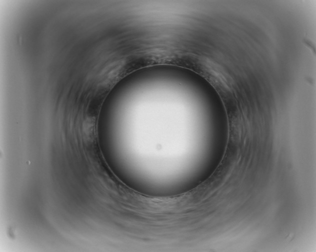 X0000096200034200801251022