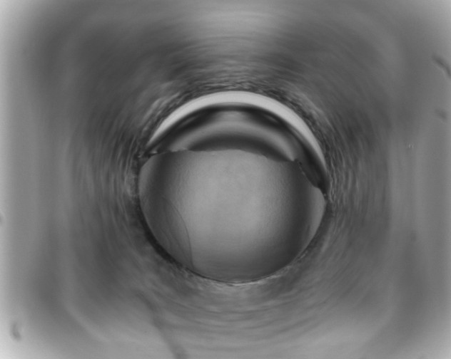 X0000096200035200801251022