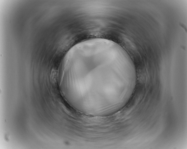 X0000096200036200801251022