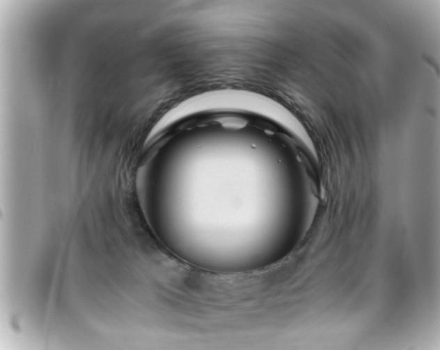 X0000096200037200801251022