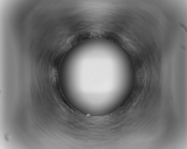 X0000096200038200801251022