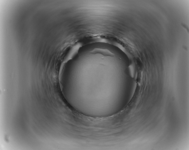 X0000096200039200801251022