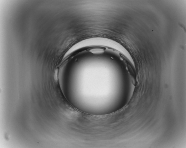 X0000096200041200801251022