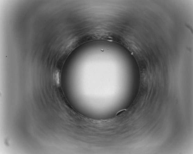 X0000096200042200801251022