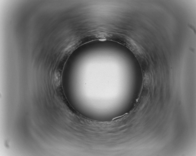 X0000096200043200801251022