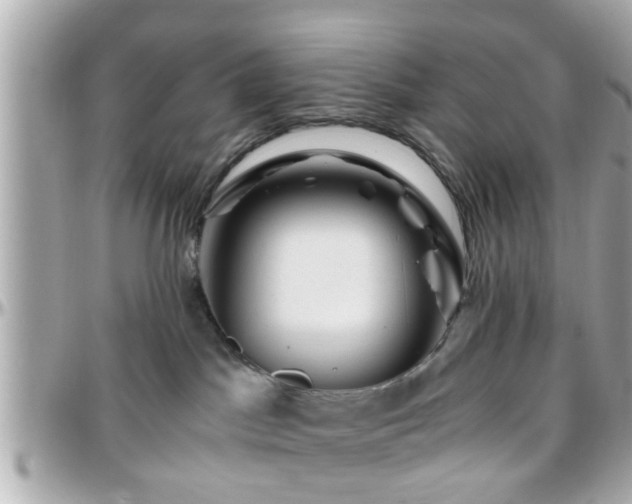 X0000096200045200801251022