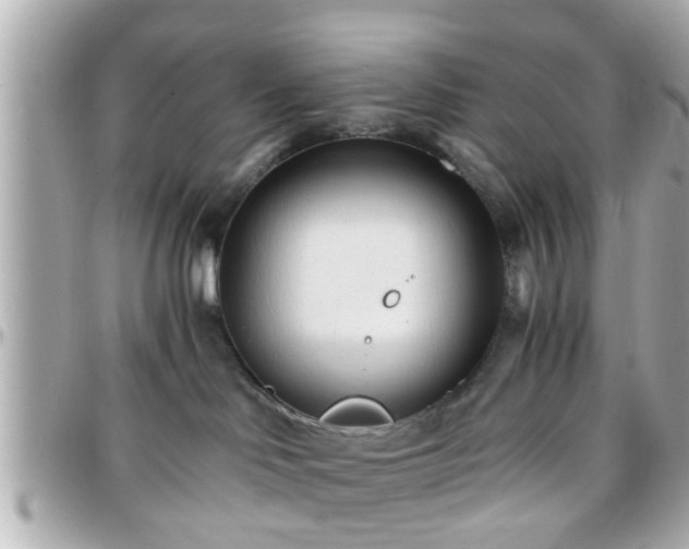 X0000096200046200801251022