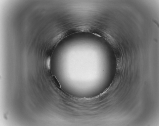 X0000096200047200801251022