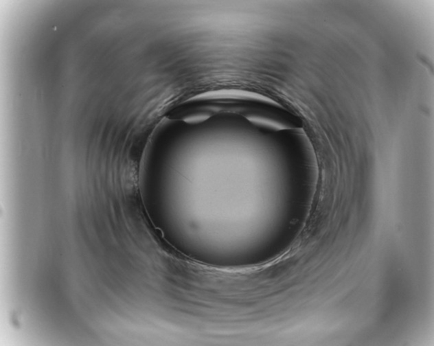 X0000096200048200801251022