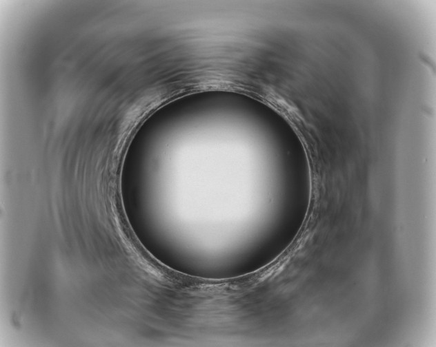 X0000096200049200801251021