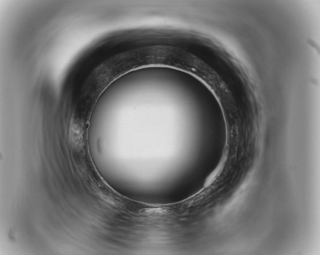 X0000096200050200801251021