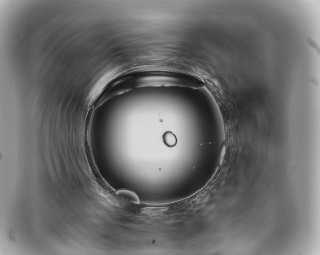 X0000096200051200801251021