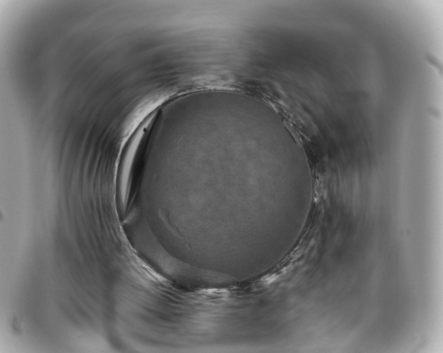 X0000096200052200801251021