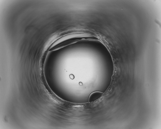 X0000096200053200801251021