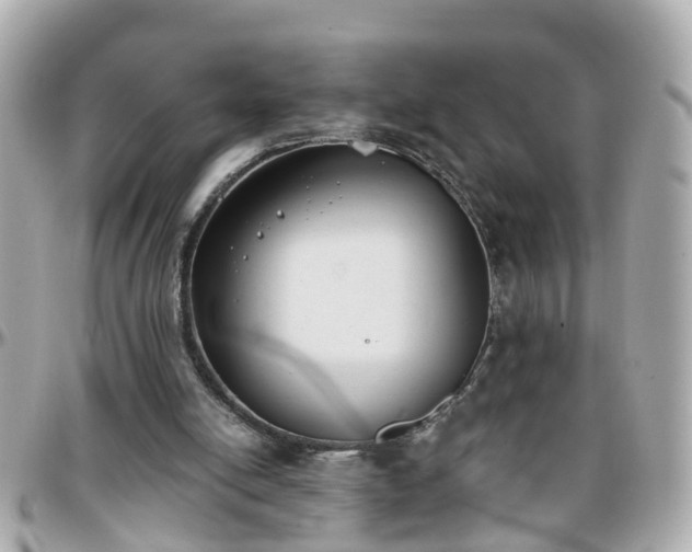 X0000096200054200801251021