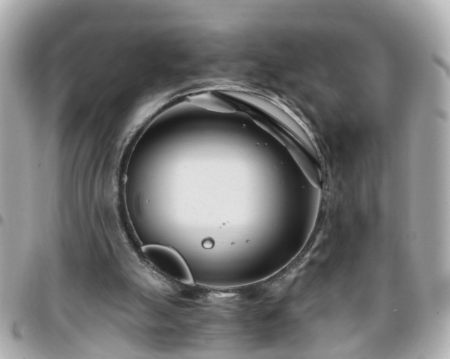 X0000096200055200801251021