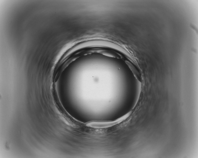 X0000096200056200801251021