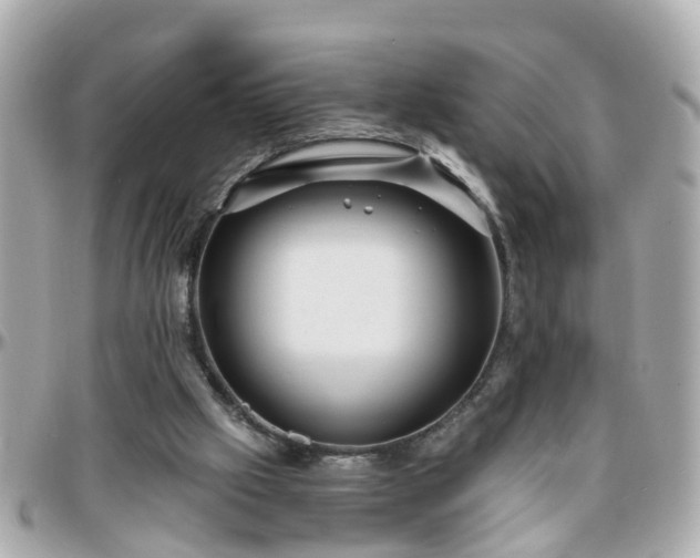 X0000096200057200801251021