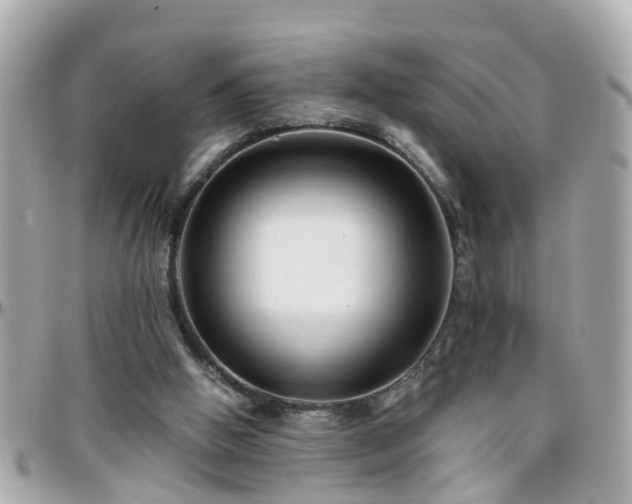 X0000096200058200801251021