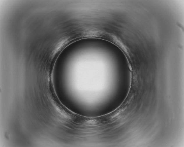 X0000096200059200801251021