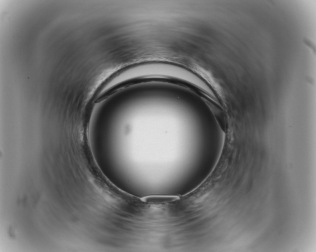 X0000096200060200801251021