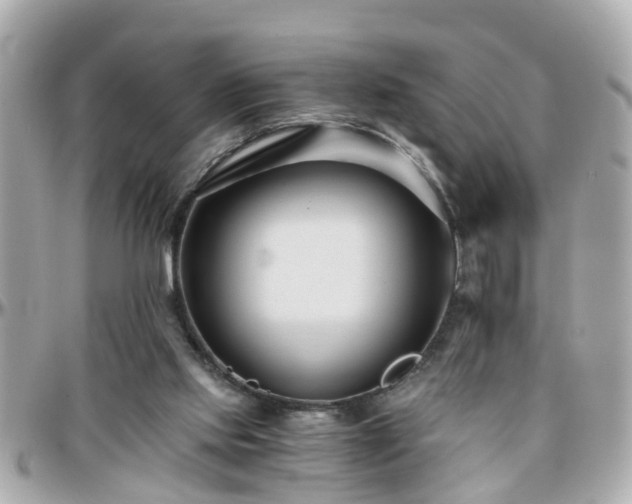 X0000096200061200801251021