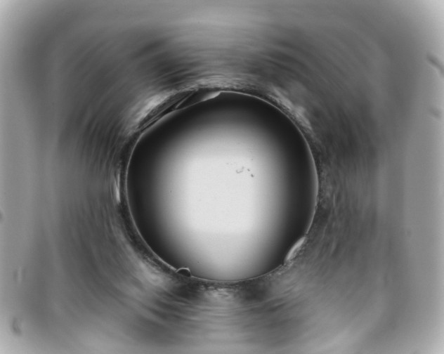 X0000096200062200801251021