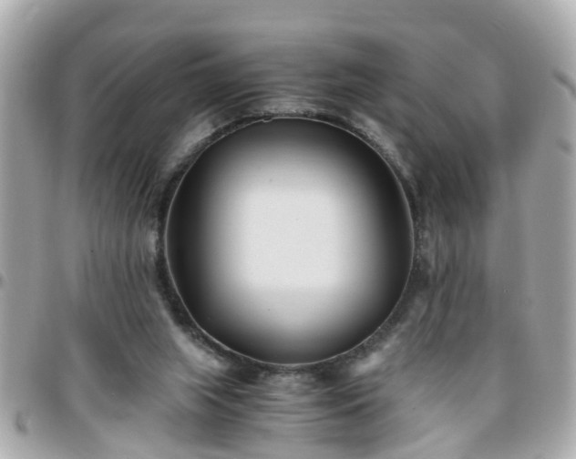 X0000096200063200801251021