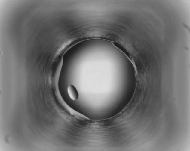 X0000096200064200801251021