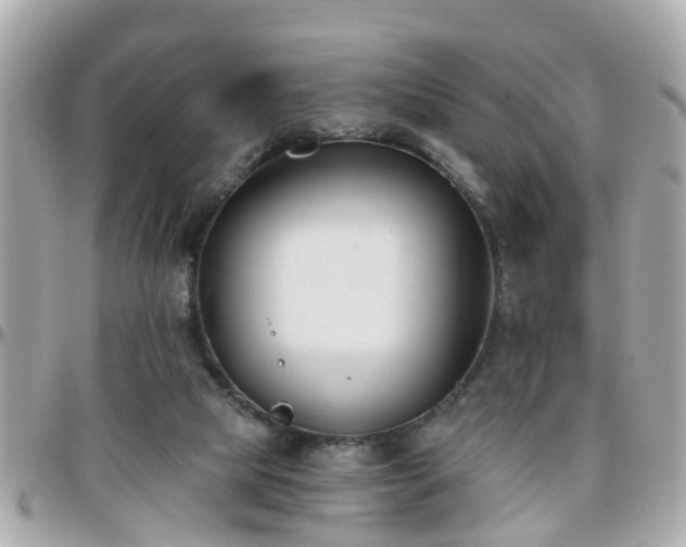 X0000096200065200801251021